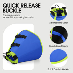 SUNFURA chien en promenade avec collerette, mobilité préservée
