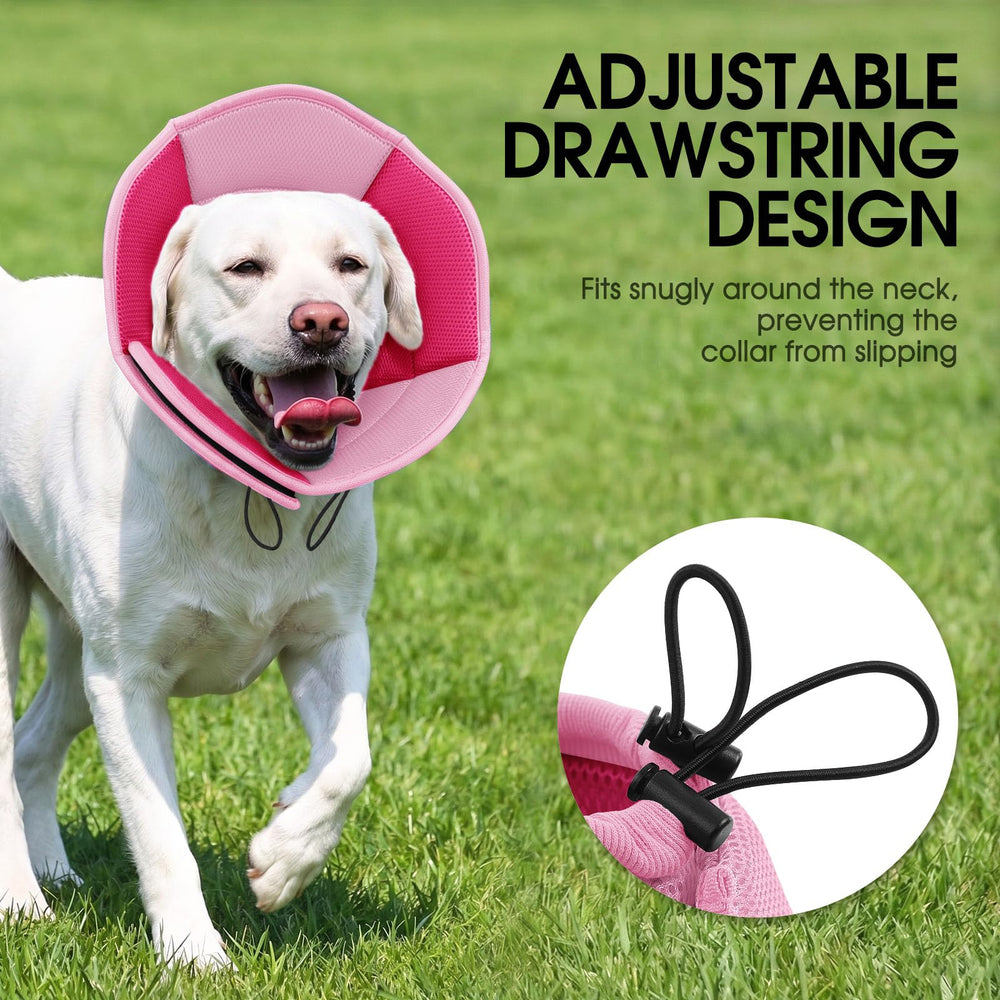 SUNFURA chien portant collerette en intérieur favorisant confort