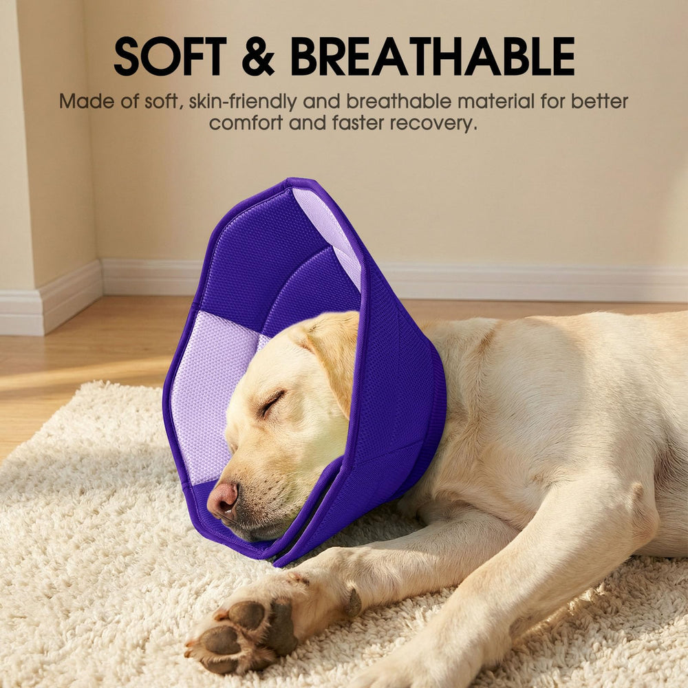 SUNFURA lifestyle chien reposant en convalescence avec collerette confortable