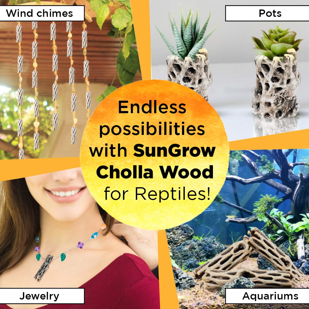 SunGrow comparaison taille avec règle montrant dimensions précises utiles