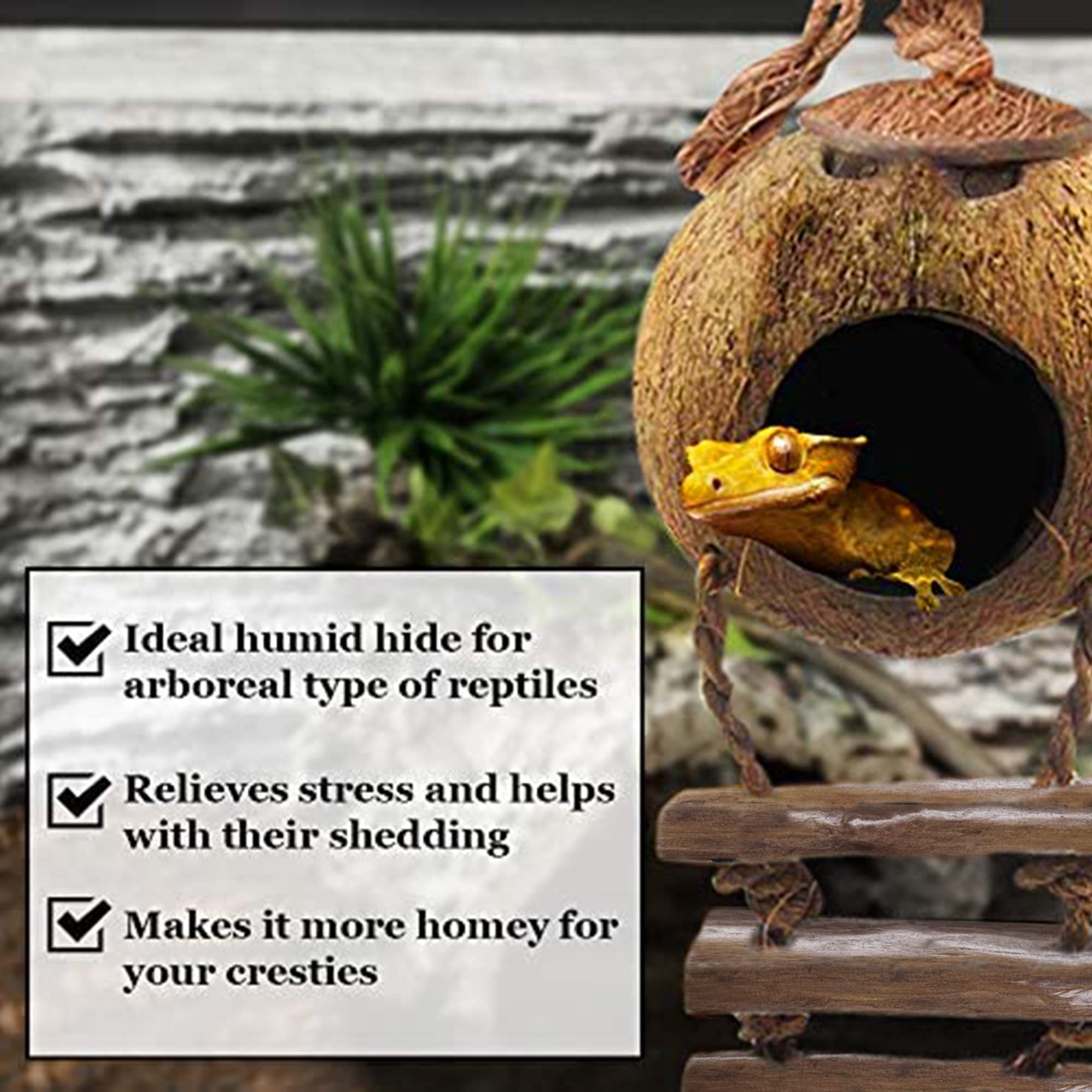 SunGrow échelle en corde attachée montrant support d'exercice pour reptile