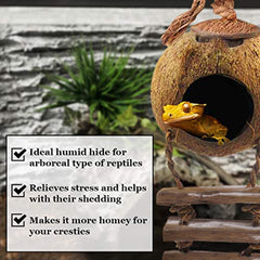 SunGrow échelle en corde attachée montrant support d'exercice pour reptile
