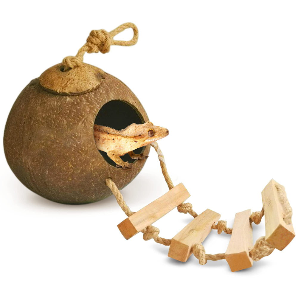 SunGrow gros plan des fibres de coco montrant texture naturelle appréciée