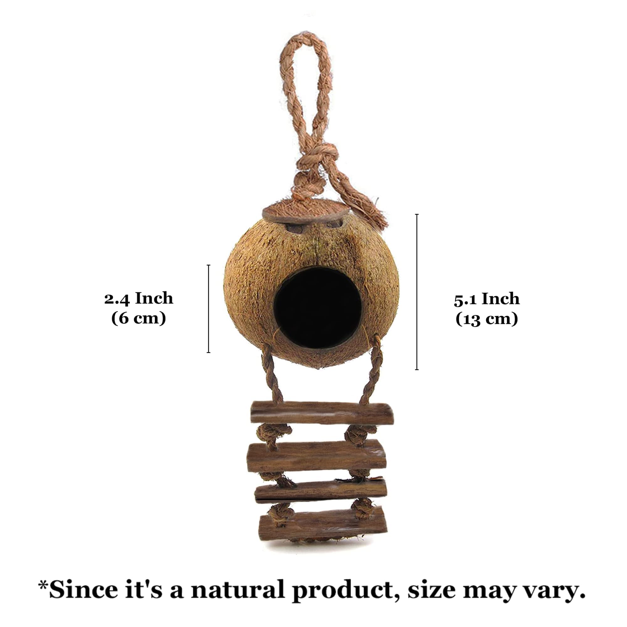 SunGrow intégré dans terrarium naturel ajoutant abri esthétique et enrichissement