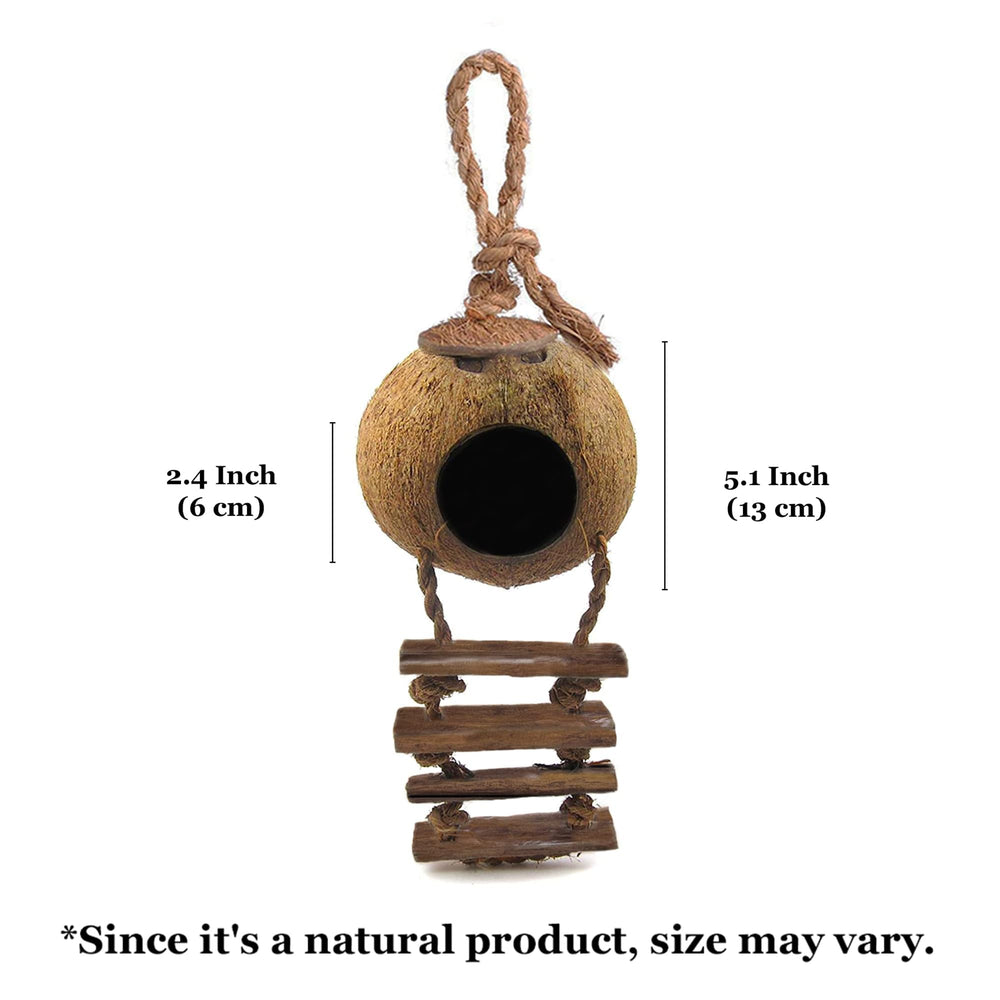 SunGrow intégré dans terrarium naturel ajoutant abri esthétique et enrichissement