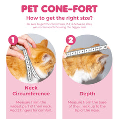 SunGrow collier porté par chat réduit léchage et stress