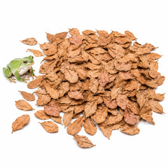 SunGrow emballage avant montrant 100 feuilles Catappa, praticité pour terrarium