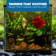 Feuilles SunGrow dans aquarium avec betta, créent abri et calme