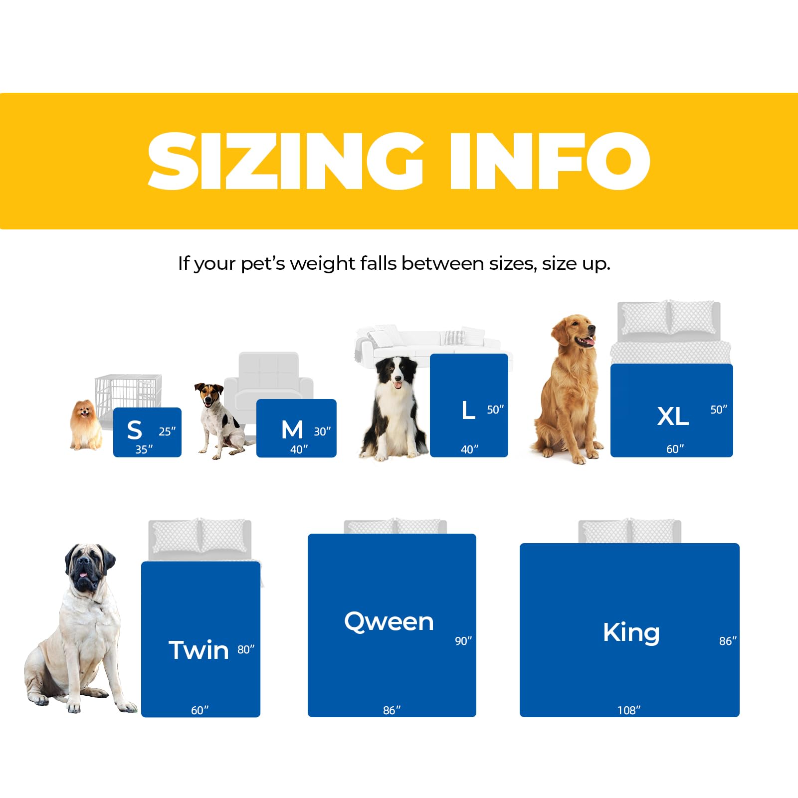 Sunheir comparaison taille avec petit chien indication d'échelle