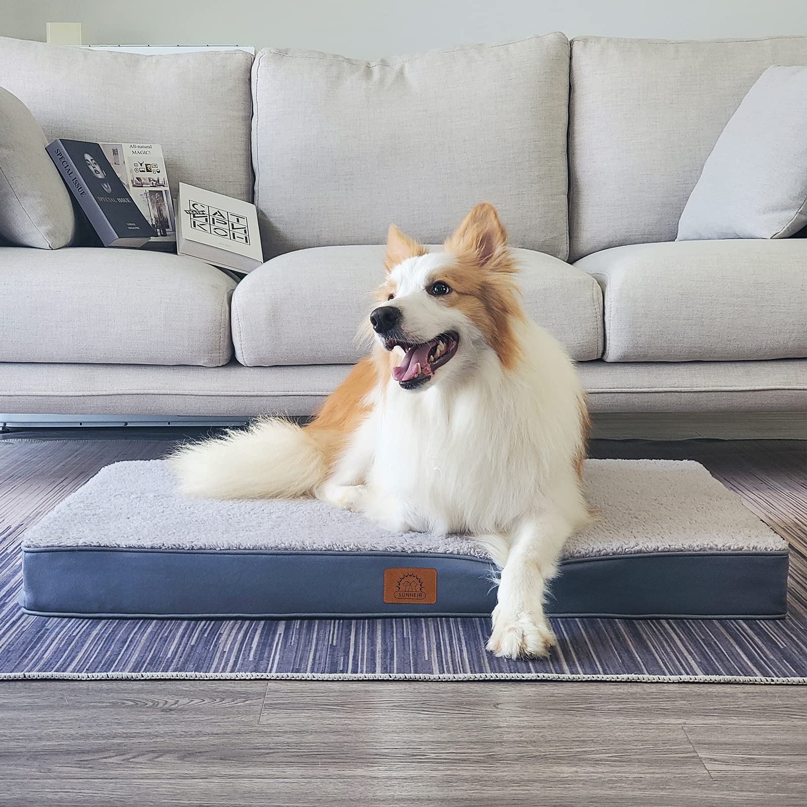 Sunheir lit en usage avec chien allongé favorise détente