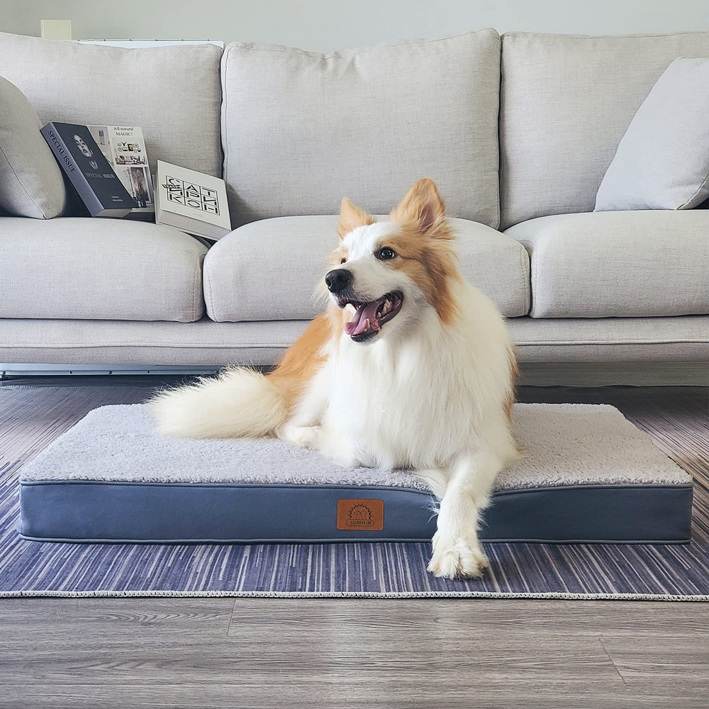 Sunheir lit en usage avec chien allongé favorise détente