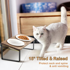 Sunhoo chat utilisant la gamelle, repas plus calme et propre