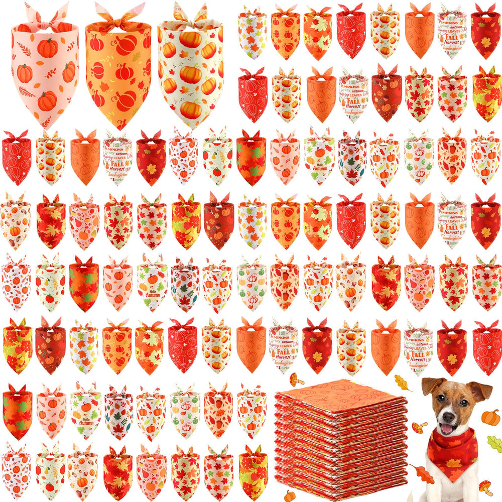Sunnymove emballage avant contenant 240 bandanas, grande quantité pratique