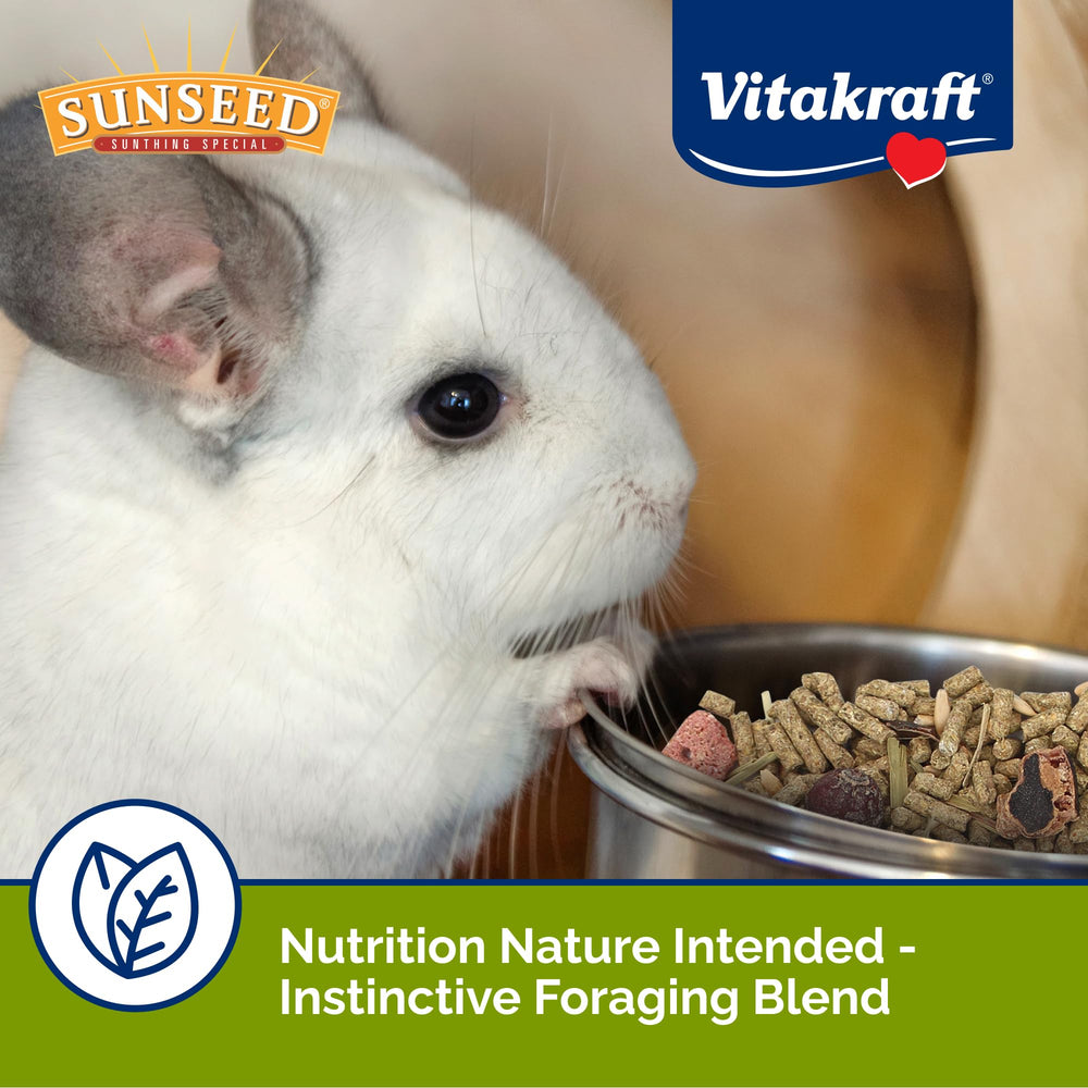 Sunseed bol servi avec mélange varié pour apport nutritionnel quotidien