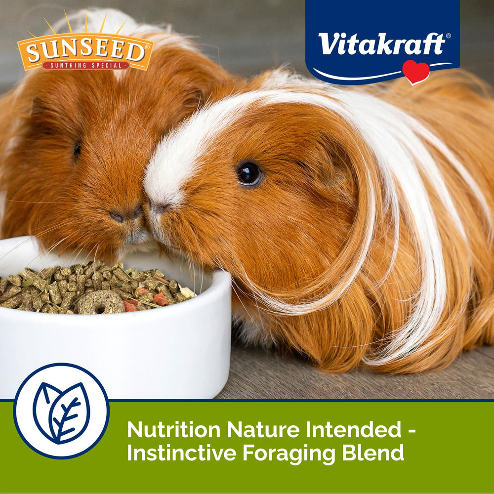 Sunseed détail du foin timothy offrant fibres et usure dentaire naturelle