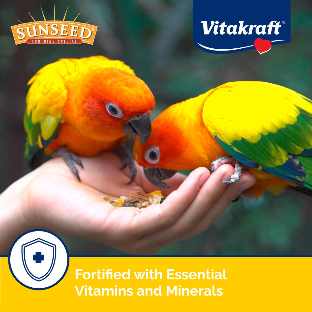 Sunseed bol dans cage avec conure soulignant appétence et engagement