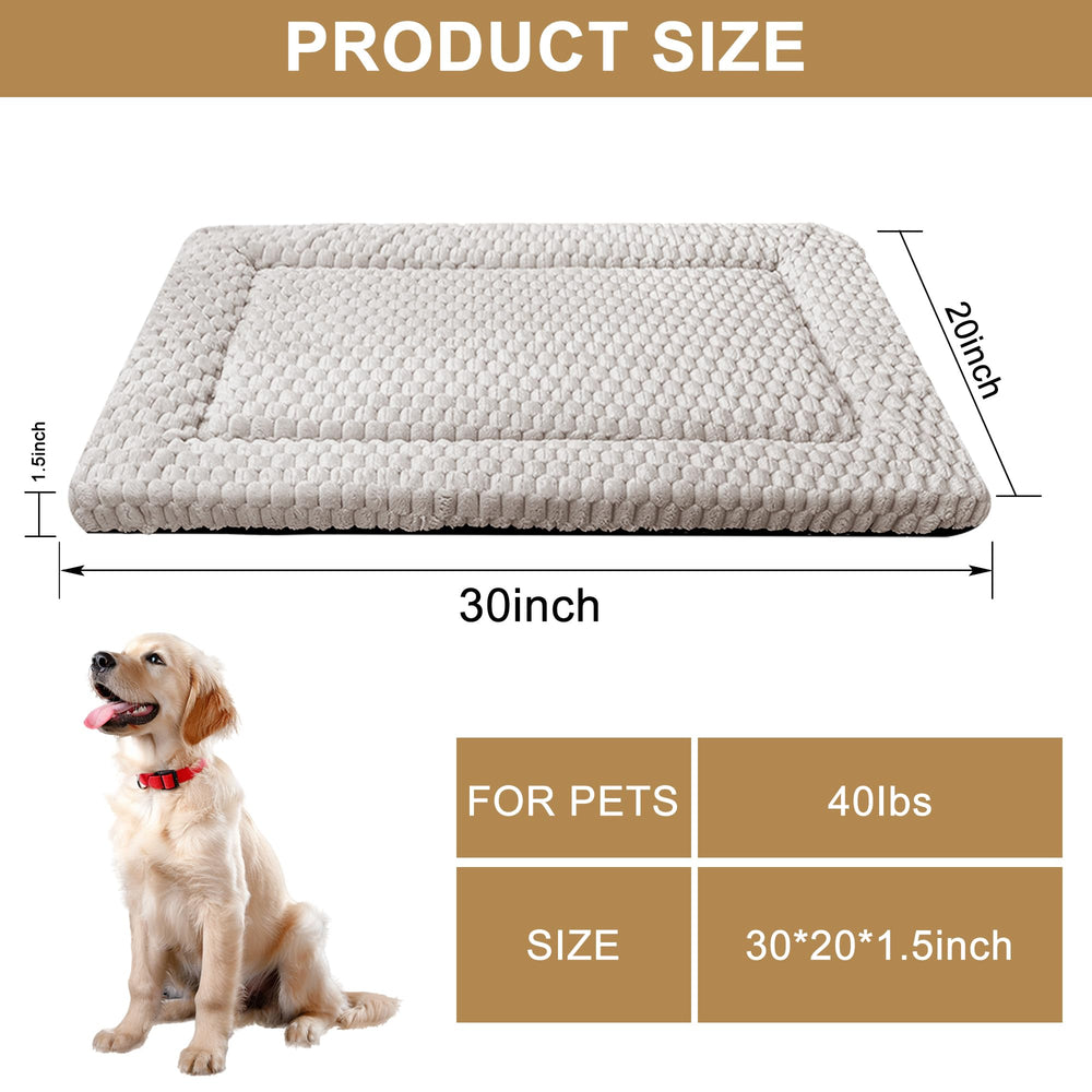 SUNSHE gros plan sur la texture moelleuse pour apaiser les animaux