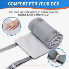 Sunsleek harnais posé près d'un grand chien pour illustrer l'échelle et l'ajustement