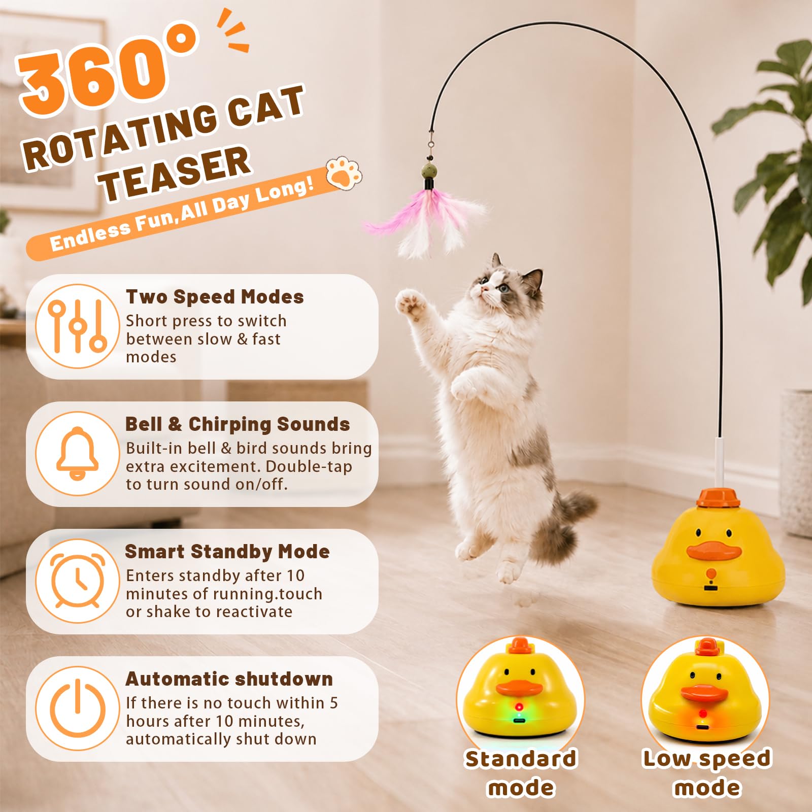 Suntomo en action avec un chat qui bondit et améliore l’exercice