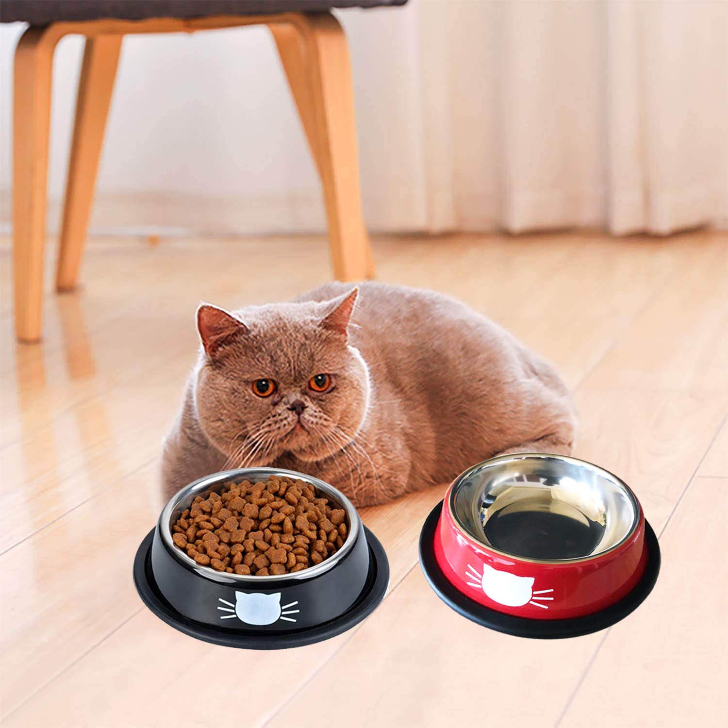 SUOXU gamelle sur sol intérieur avec chat mangeant montrant usage quotidien