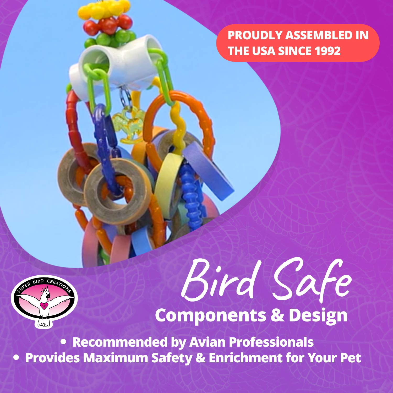 Super Bird Creations couleurs vives décor bénéfiques attraction visuelle