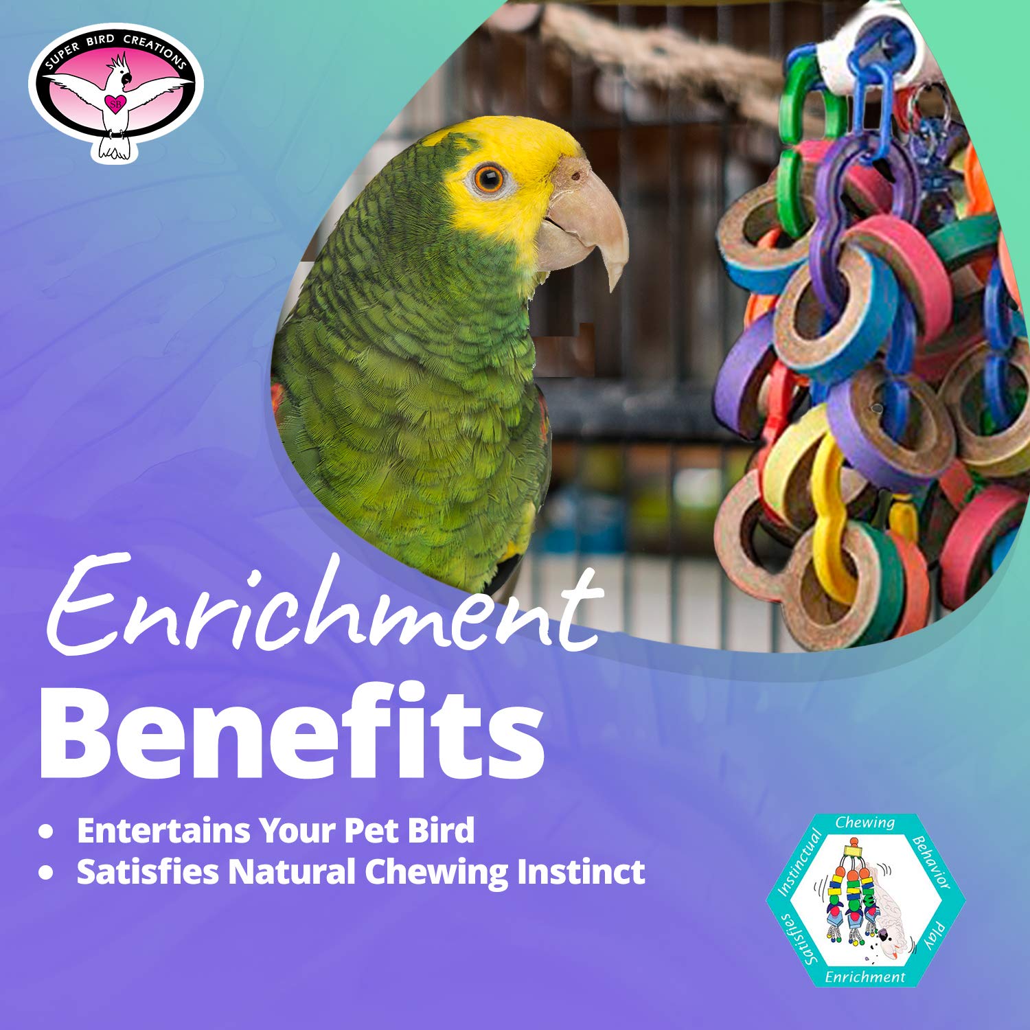 Super Bird Creations perroquet jouant bénéfice exercice mental