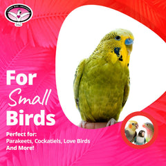 Super Bird Creations chaîne plastique colorée attirant l’attention et stimulant visuel