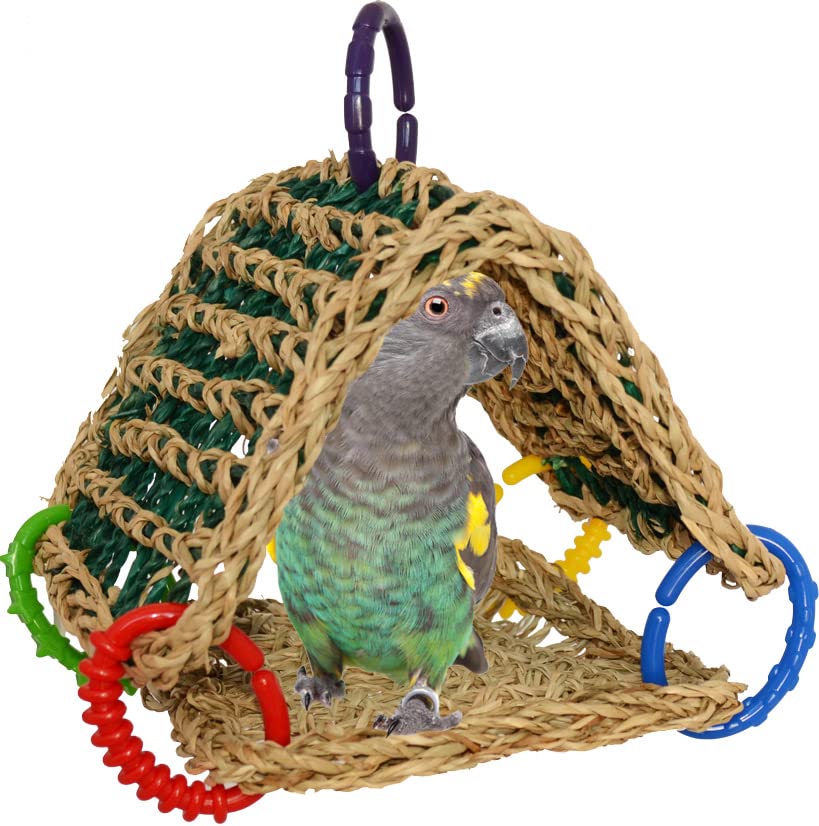 Super Bird Creations tente dans intérieur, enrichit l’environnement de l’oiseau