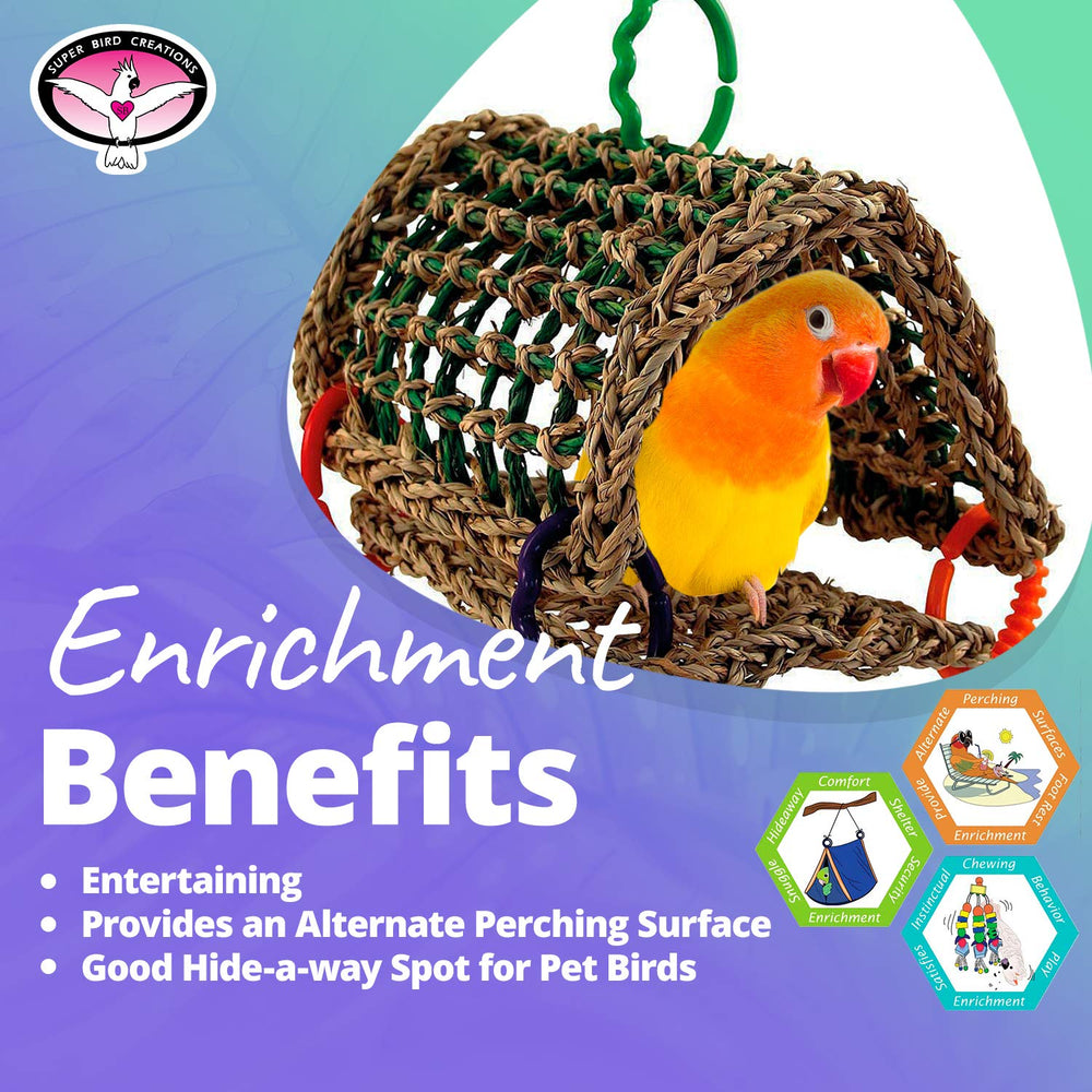 Super Bird Creations comparaison tailles, convient à oiseaux petits et moyens