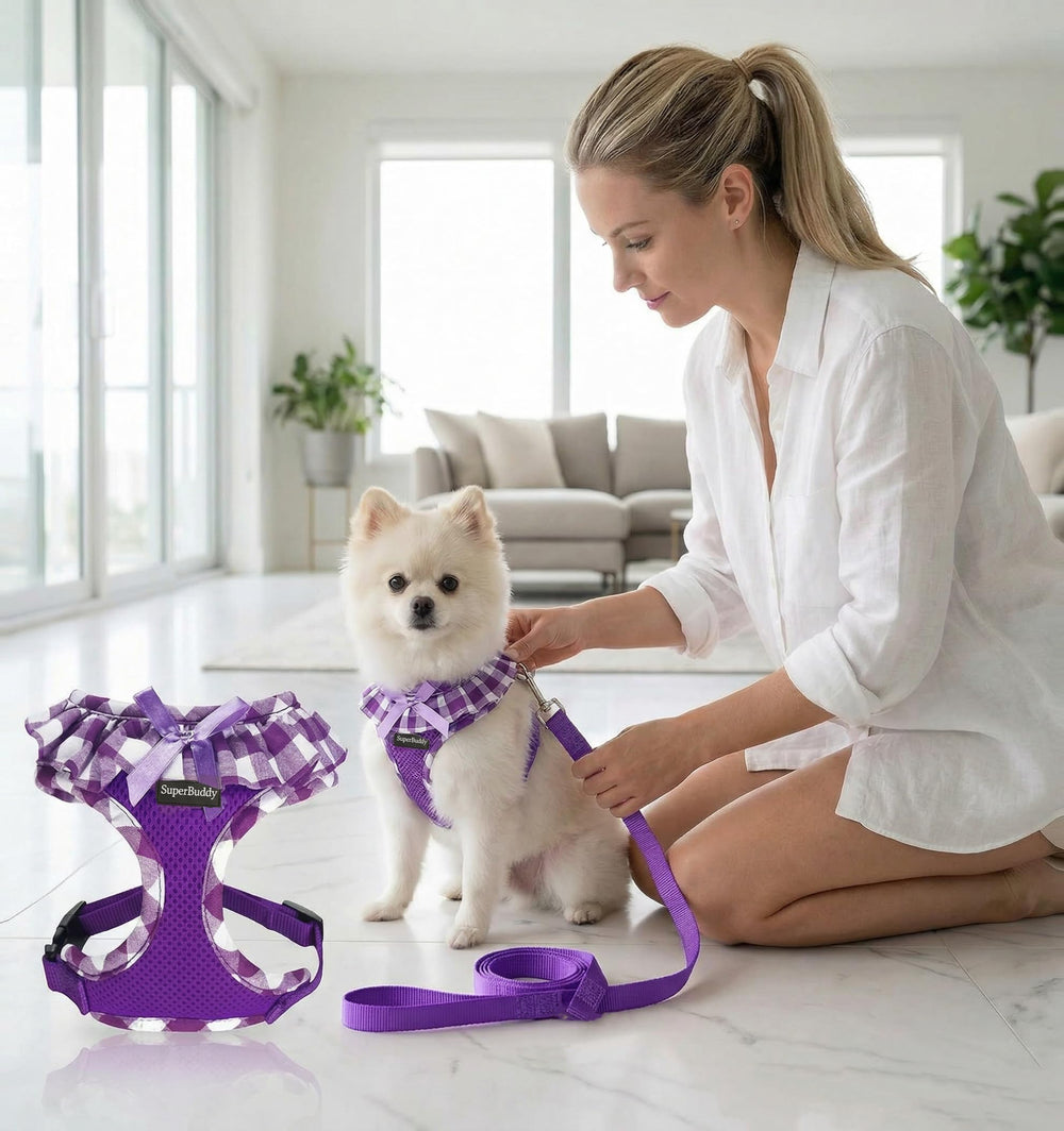 SuperBuddy boucles et attaches robustes pour sécurité