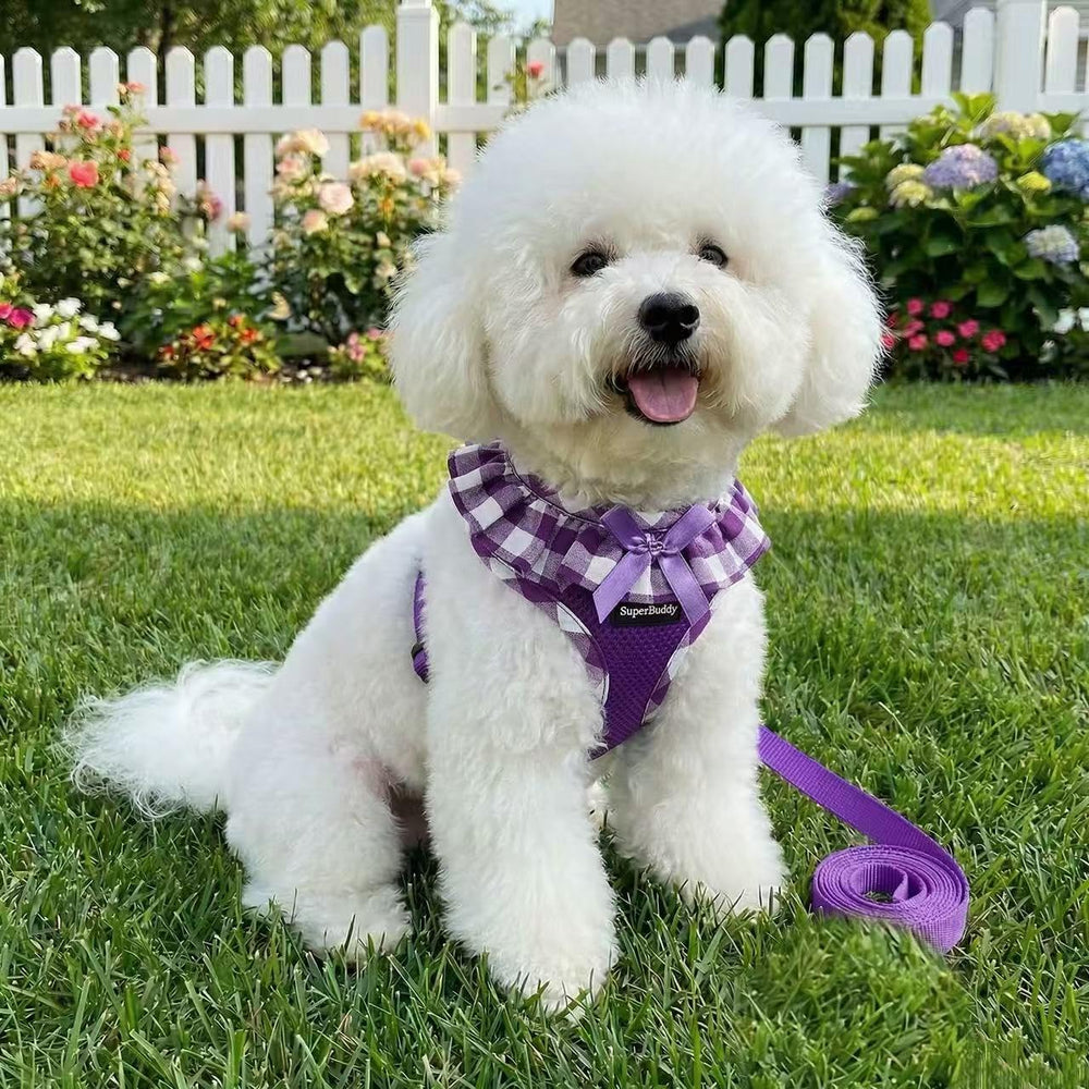 SuperBuddy harnais porté sur chiot confort et maintien