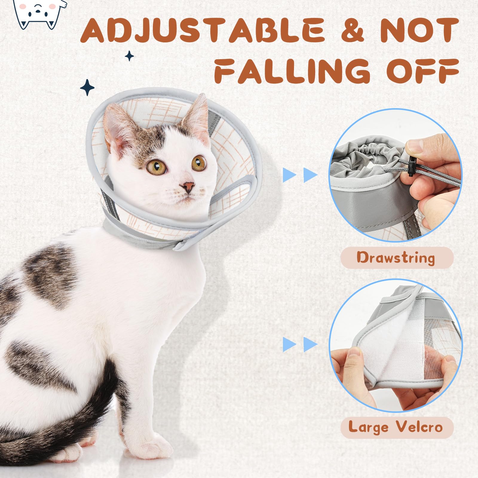 Supet chat mangeant facilement avec collier pour reprendre routines