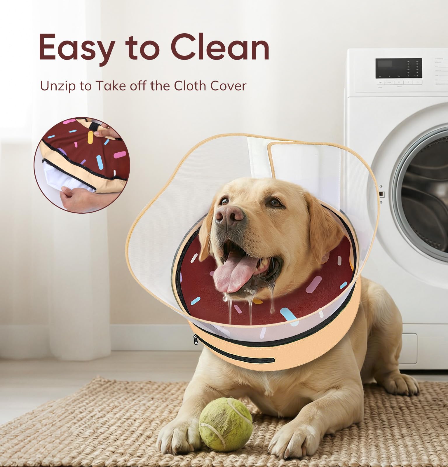 Supet chien buvant avec collerette facilitant l'alimentation