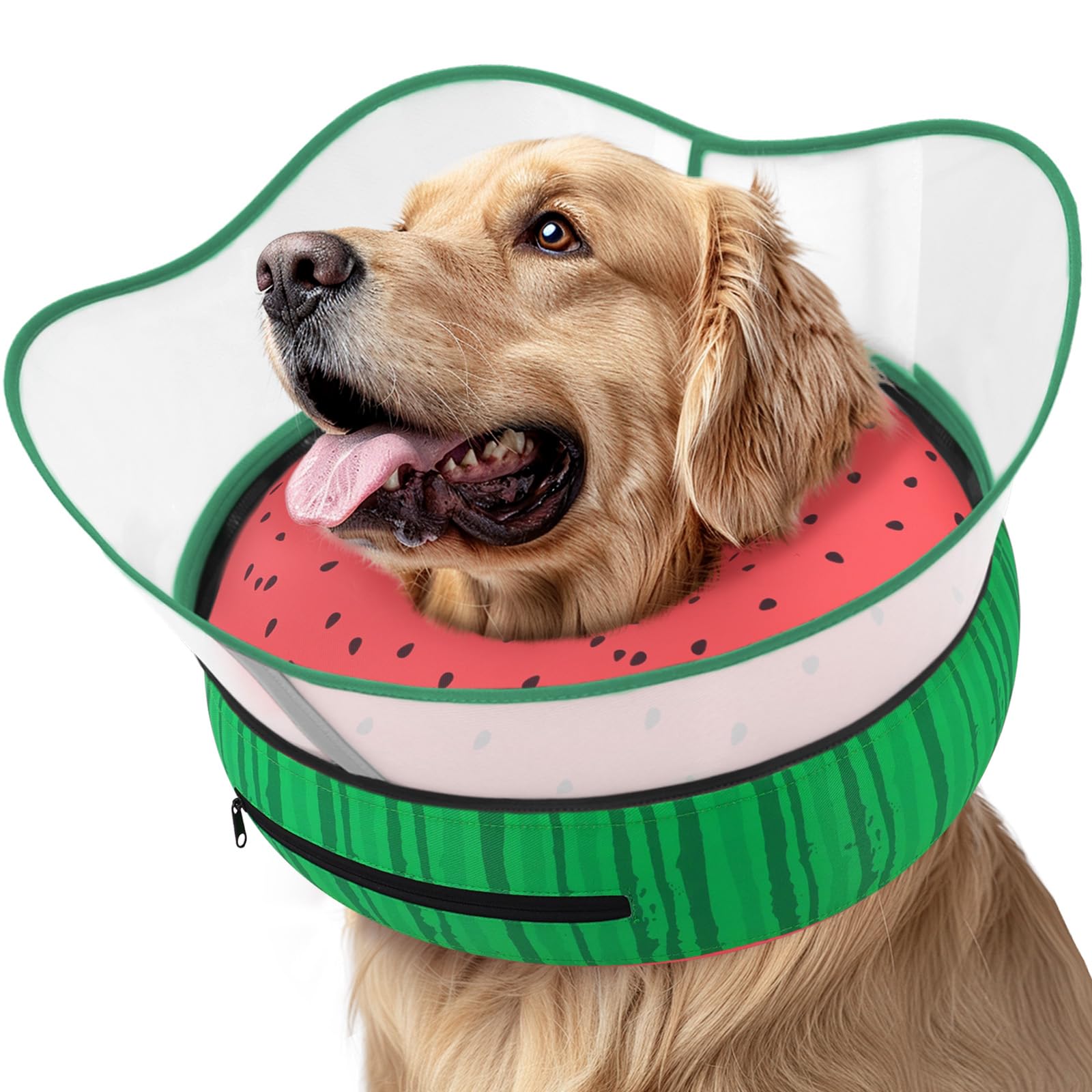 Supet collerette donut face avant montrant protection confortable