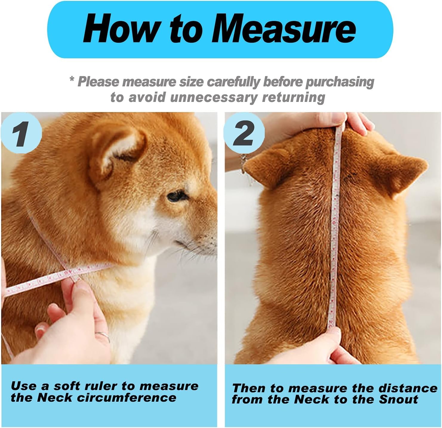 Supet collerette portée sur un chien montrant protection post-opératoire