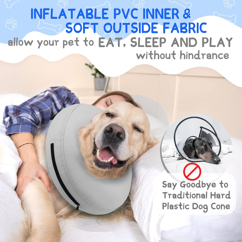 Supet collier porté par chien en salon illustrant confort et mobilité