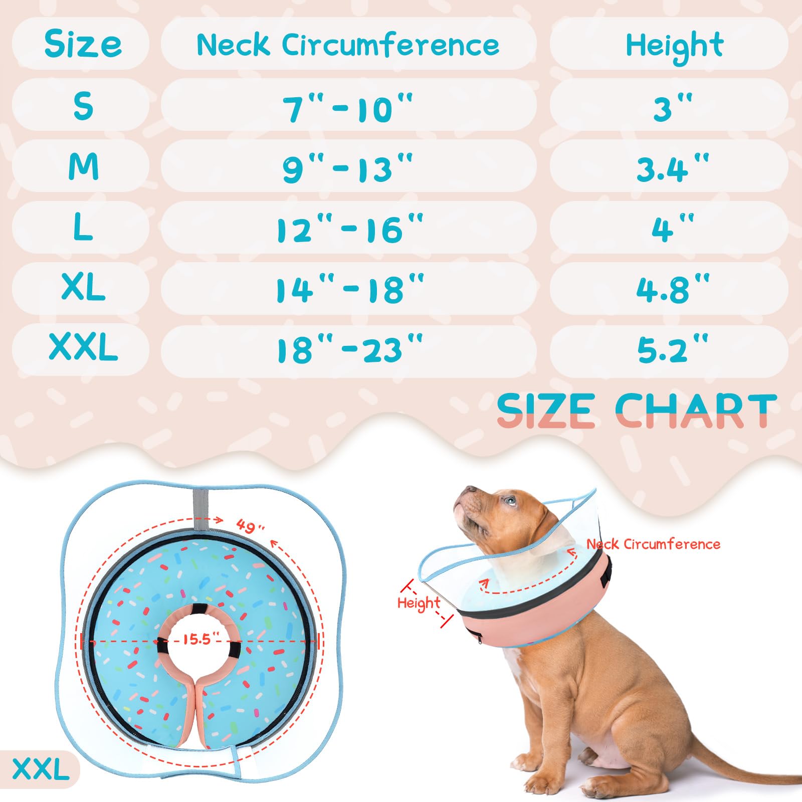 Supet collier donut comparaison des tailles pour choix adéquat
