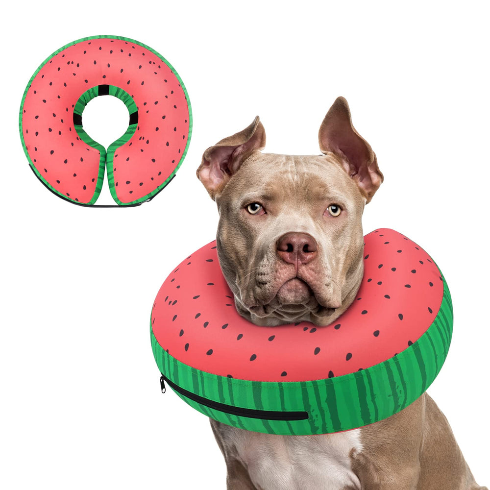 Supet collier donut face avant montrant confort et protection