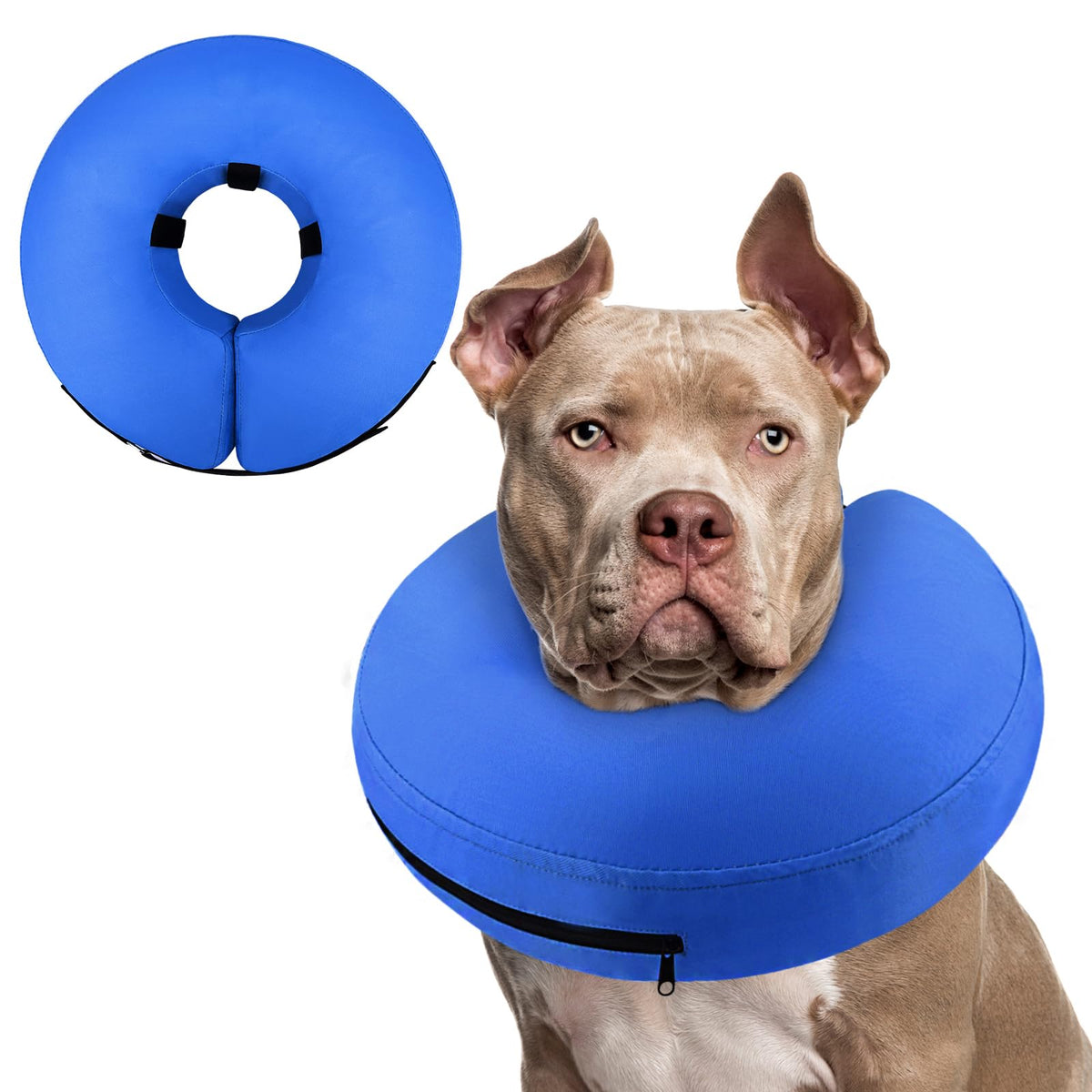 Supet collier donut devant packaging, protection visible et rassurante