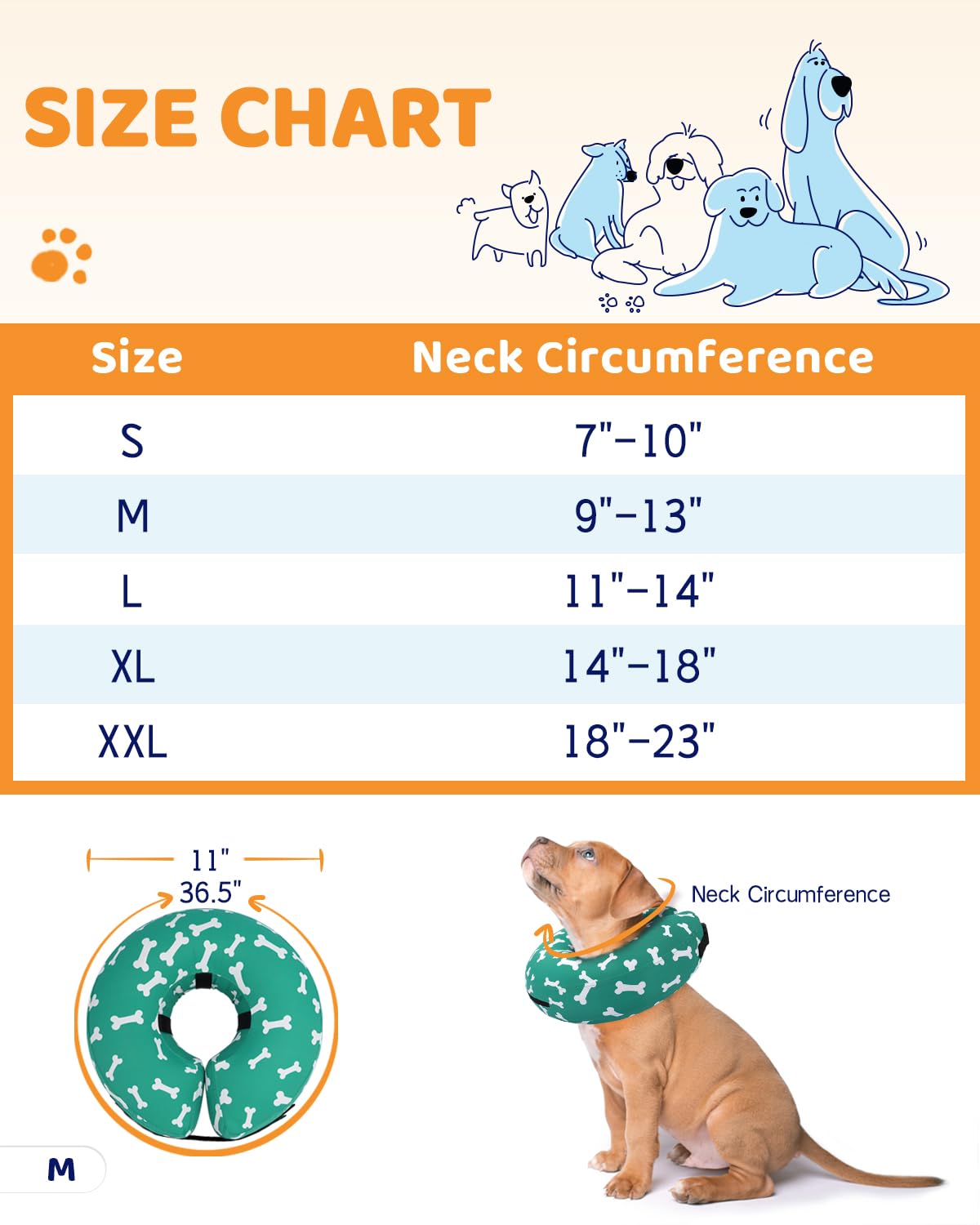 Supet comparaison taille avec collier quotidien pour bon ajustement