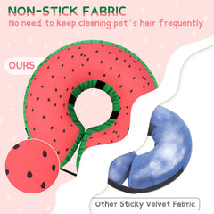 Supet collier porté par chien montrant liberté de mouvement