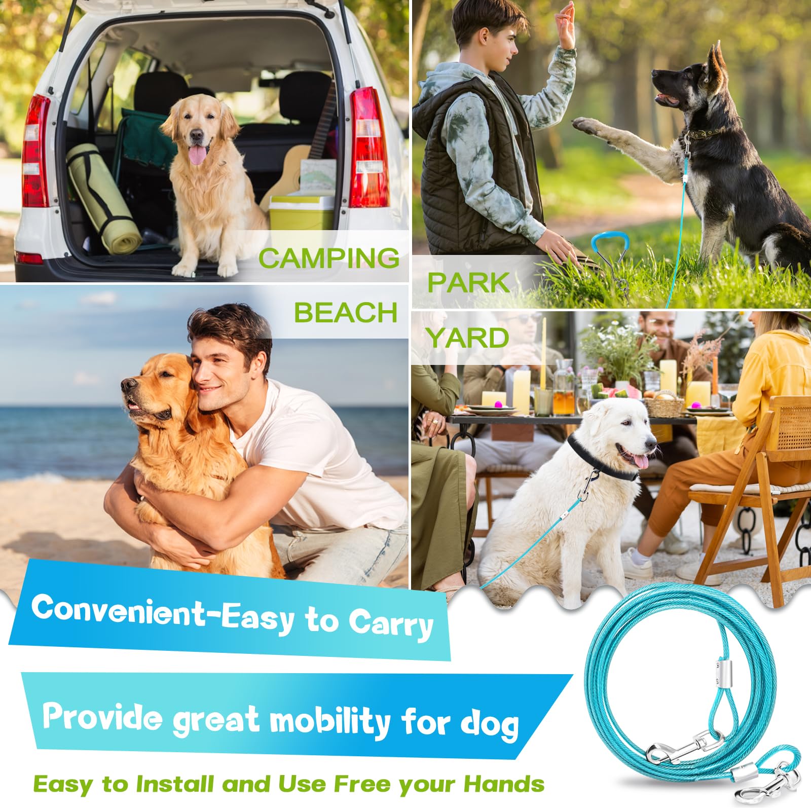 Supet comparaison taille avec chien montrant espace de mouvement