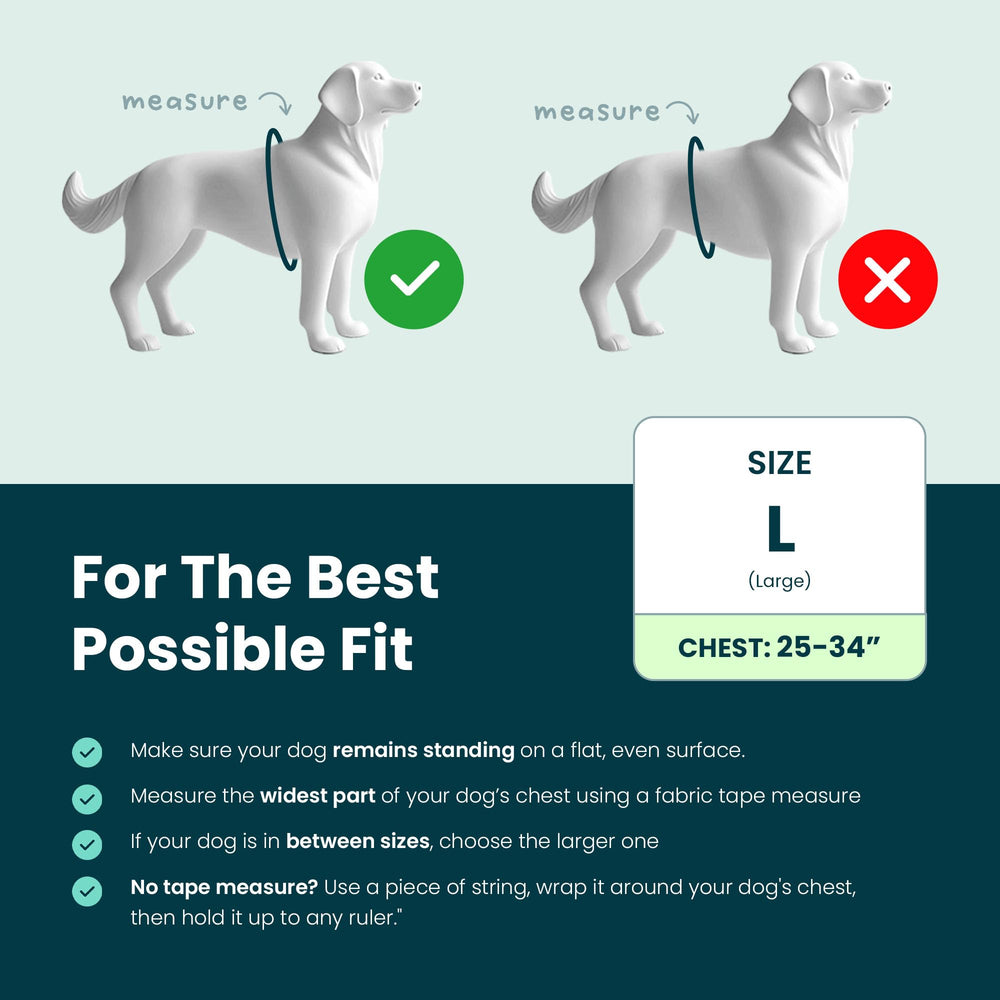Support Pets écussons interchangeables montrant statut ESA et PSD clairement
