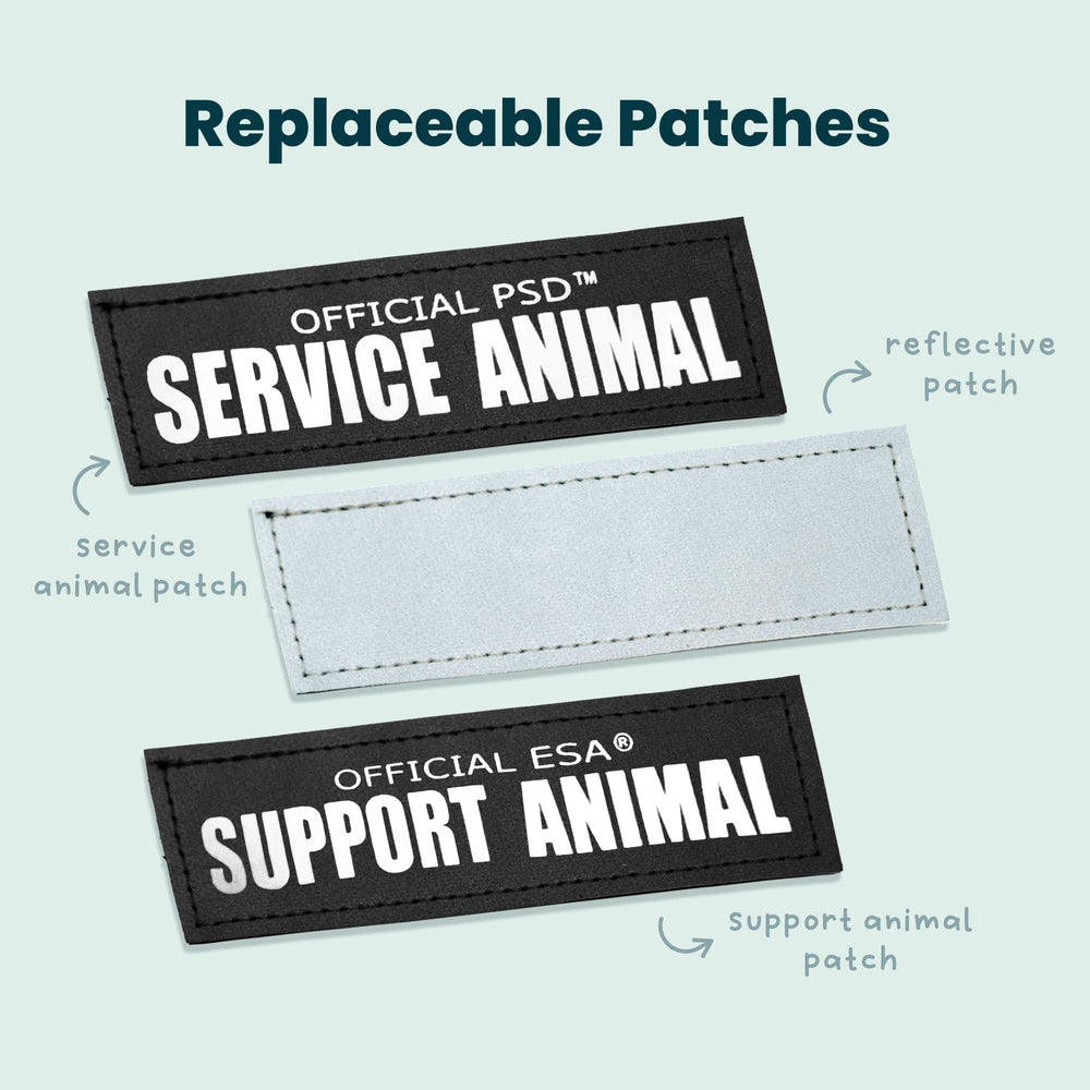 Support Pets sangle réfléchissante améliorant la visibilité nocturne pour sécurité