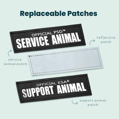 Support Pets sangle réfléchissante améliorant la visibilité nocturne pour sécurité