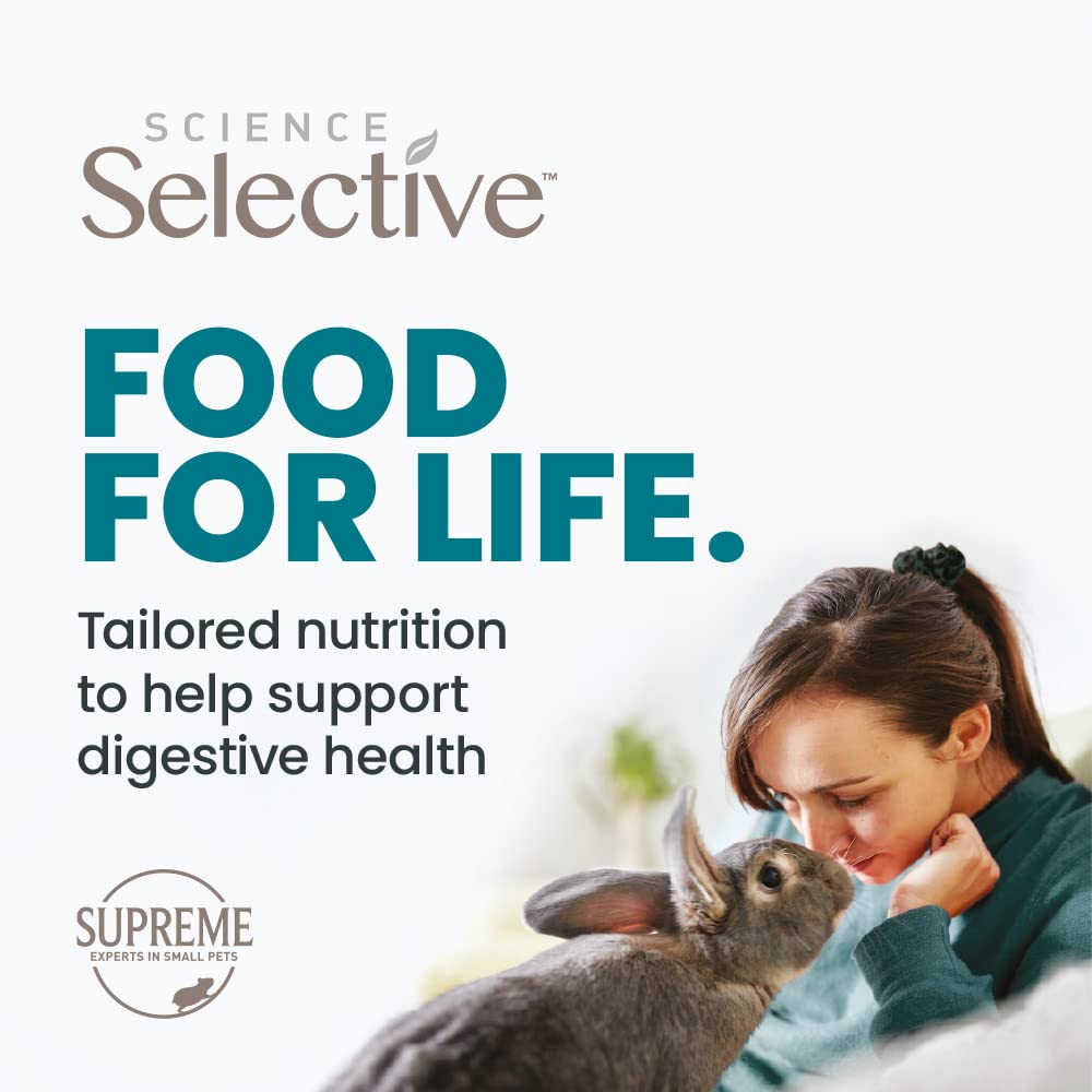 SupremePetfoods scène de vie avec chinchilla actif montrant bien-être et énergie