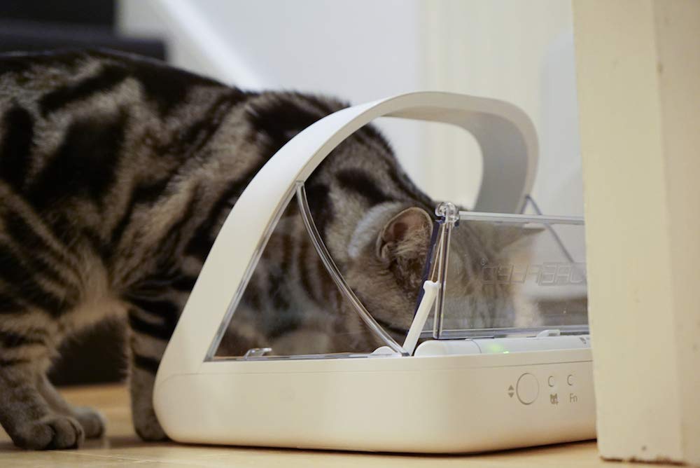 SureFlap bol compartimenté rempli de nourriture séparant rations