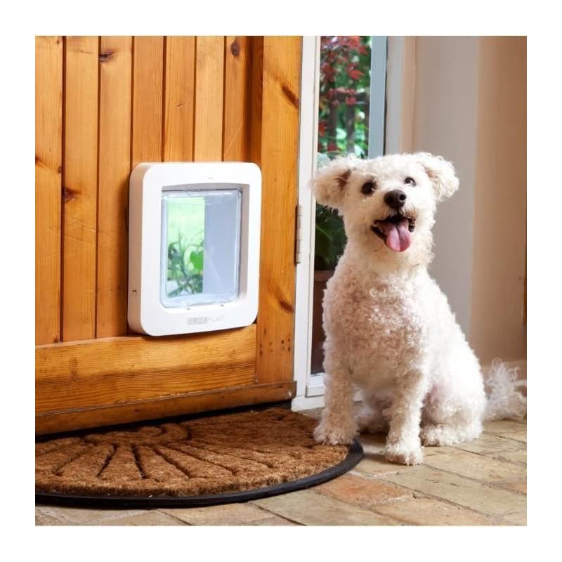 SureFlap gros plan médaillon RFID inclus montrant identification simple et fiable