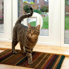 SureFlap chatière en usage avec chat sortant, contrôle d'accès sans collier