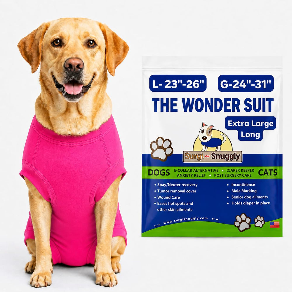 Surgi~Snuggly vue de face sur chien montrant protection post-opératoire et confort